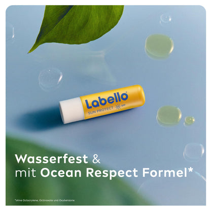 Labello Sun Protect LSF 50, wasserfeste Lippenpflege mit hohem Sonnenschutz, mineralölfreie Lippenpflege mit Sheabutter, Vitaminen & natürlichen Ölen (4,8 g)